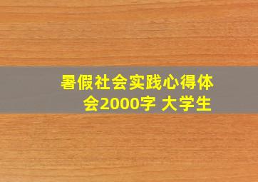 暑假社会实践心得体会2000字 大学生